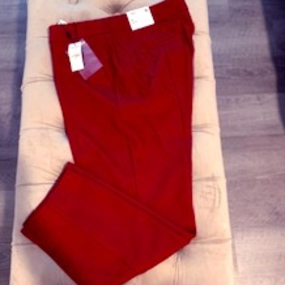 Columnist Pants